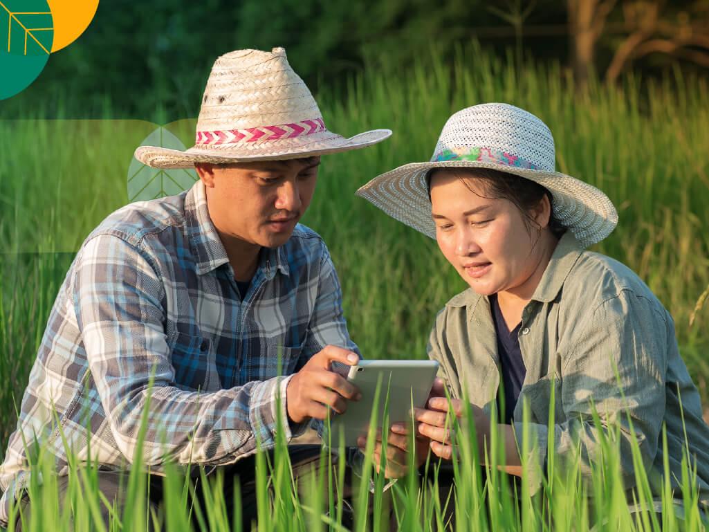digital farming
