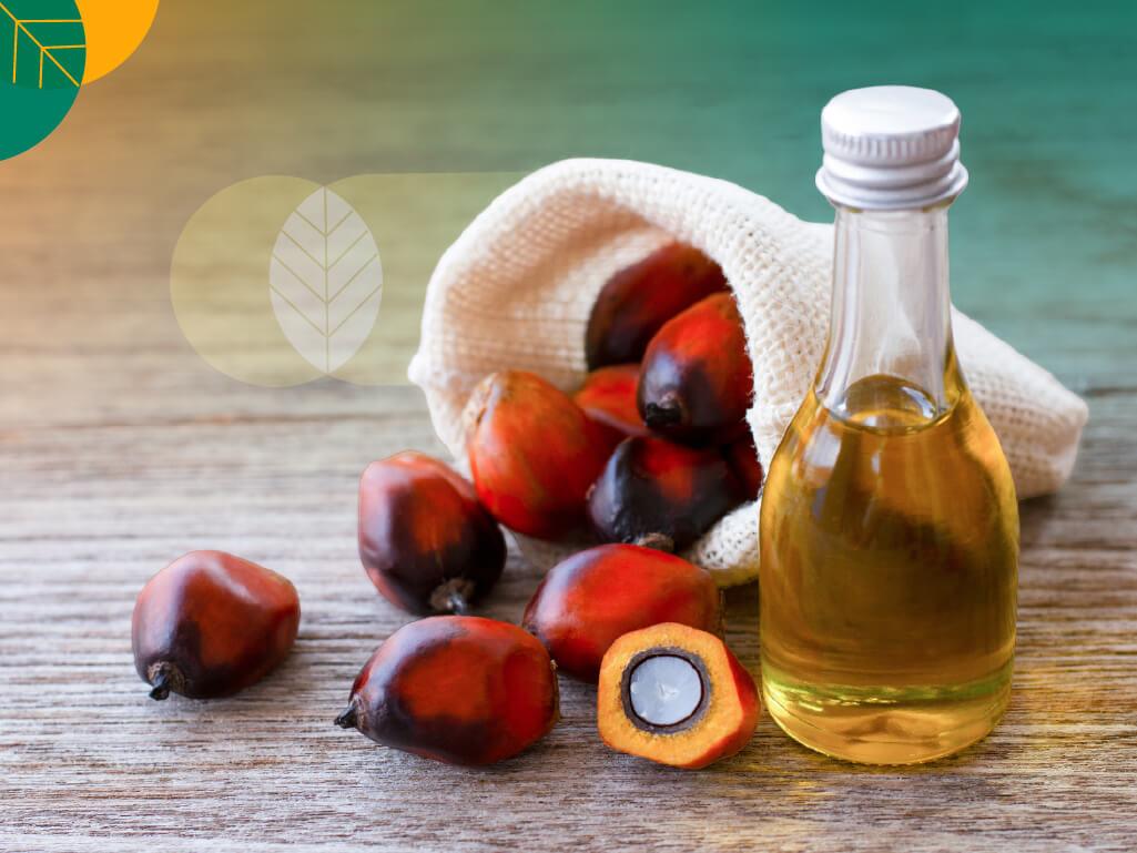 hasil minyak kelapa sawit