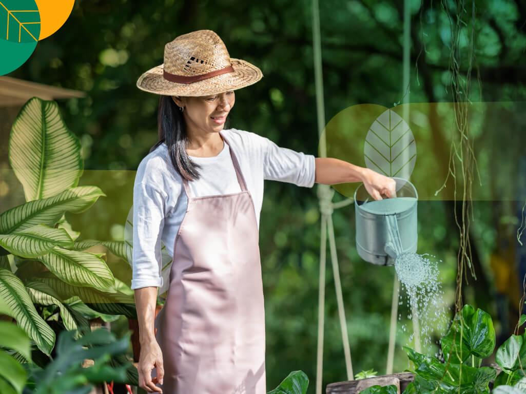 cara merawat tanaman