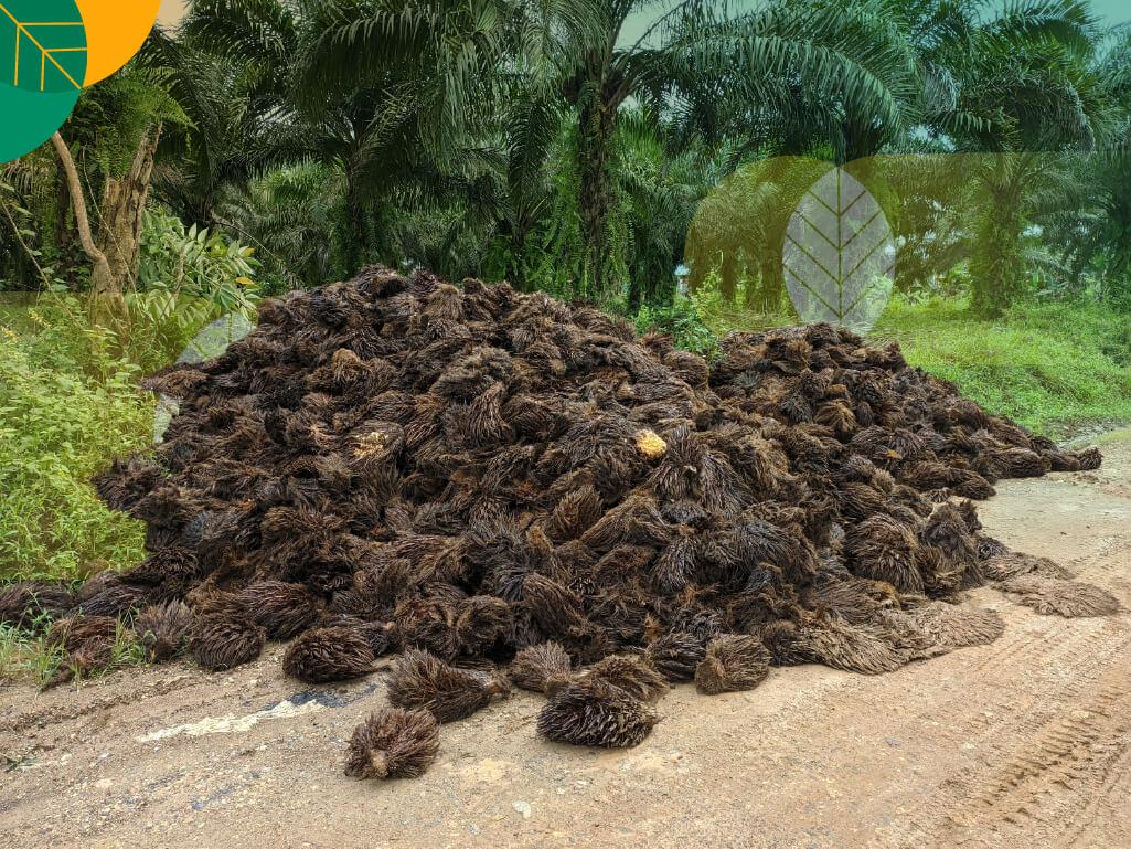 Limbah kelapa sawit