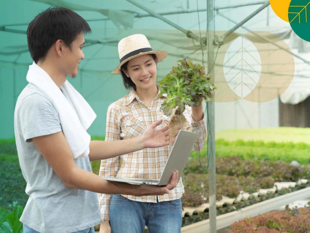Tips usaha agrikultur