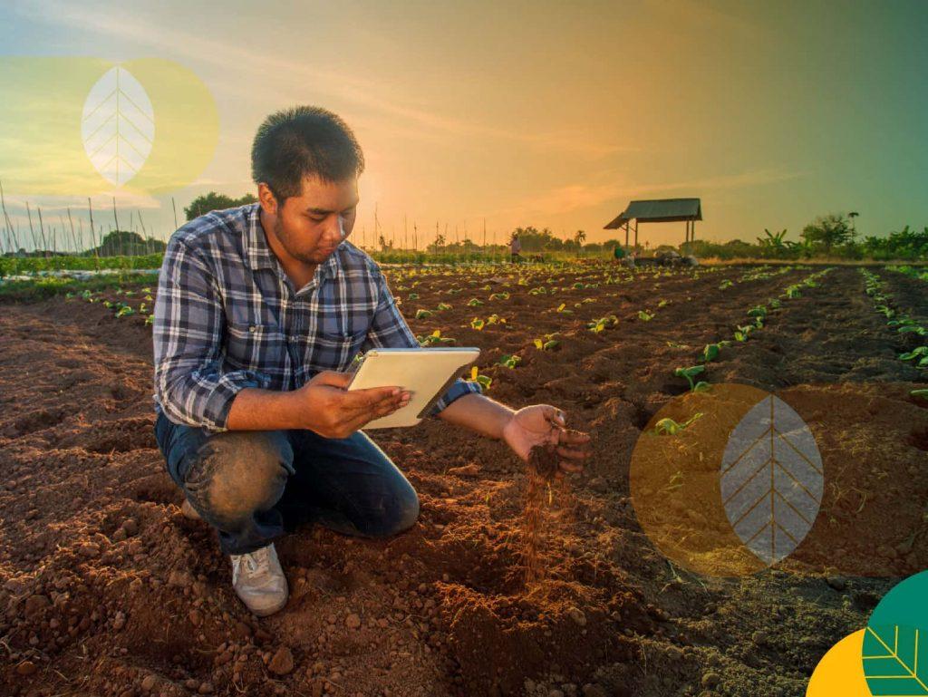 Intensifikasi pertanian