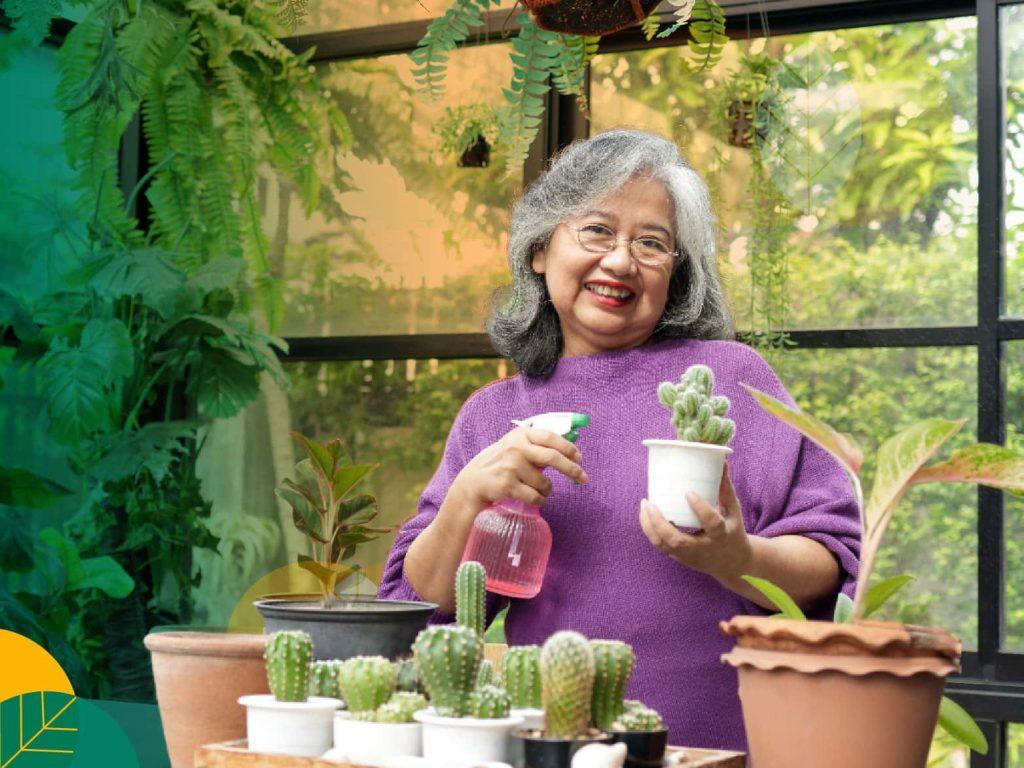 tanaman hortikultura