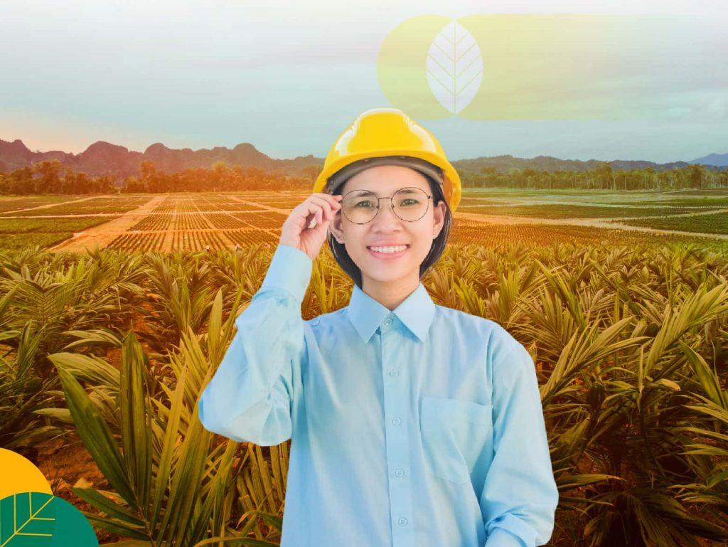 Bibit sawit berkualitas