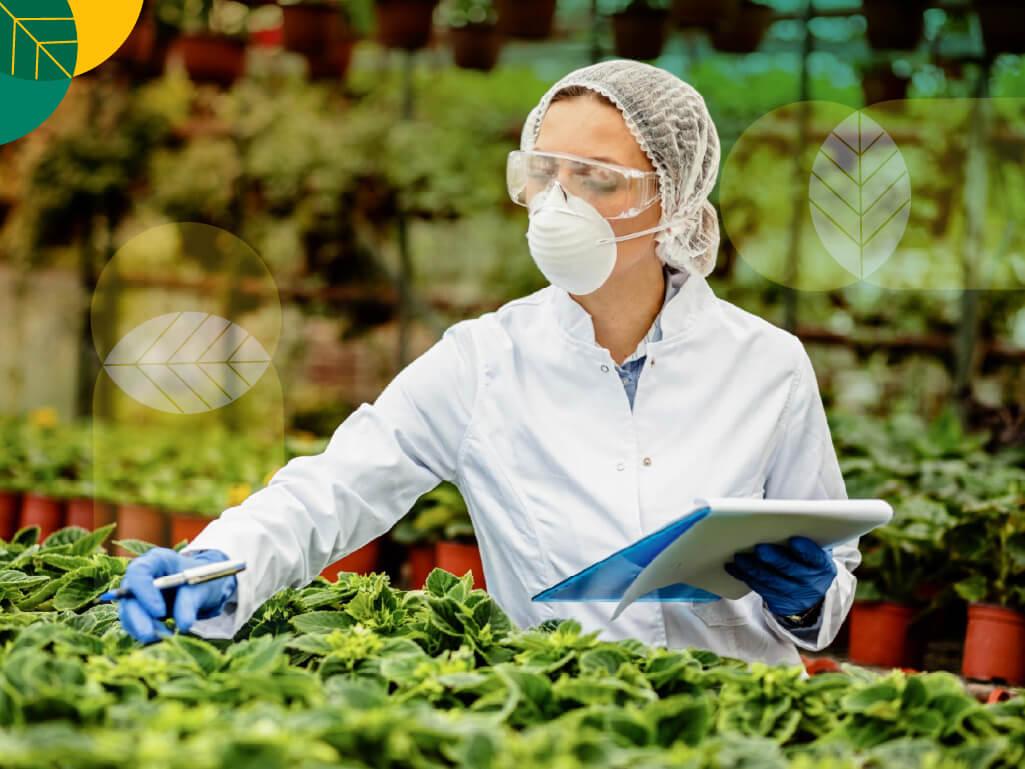 Bioteknologi pertanian