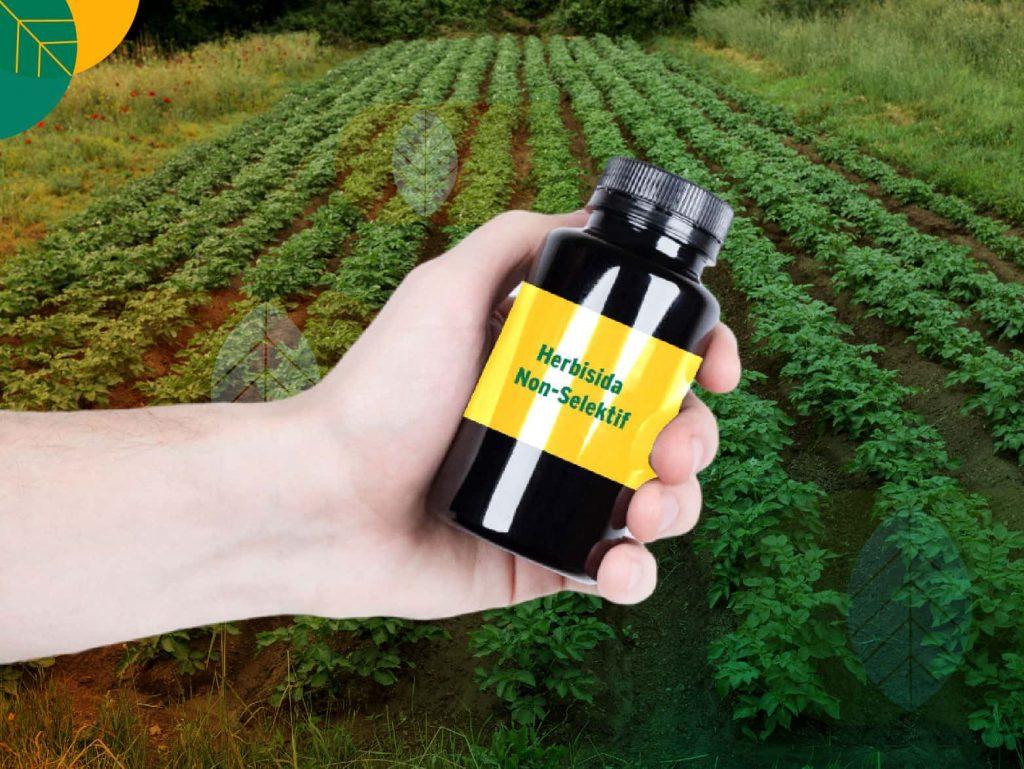 Herbisida non selektif