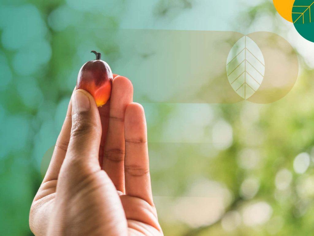 Industri Kelapa Sawit