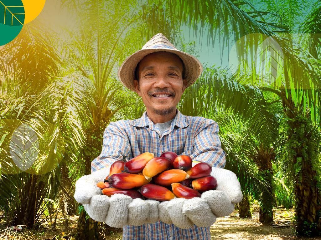 kelapa sawit berkelanjutan