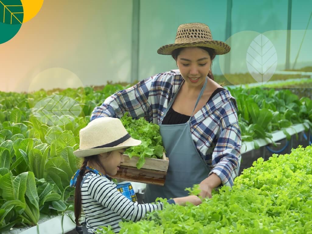Agrowisata berkelanjutan