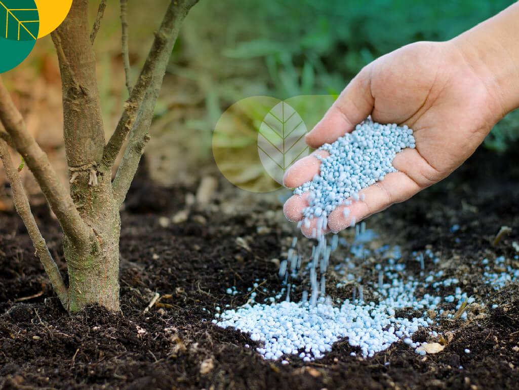 Pupuk sesuai jenis waktu