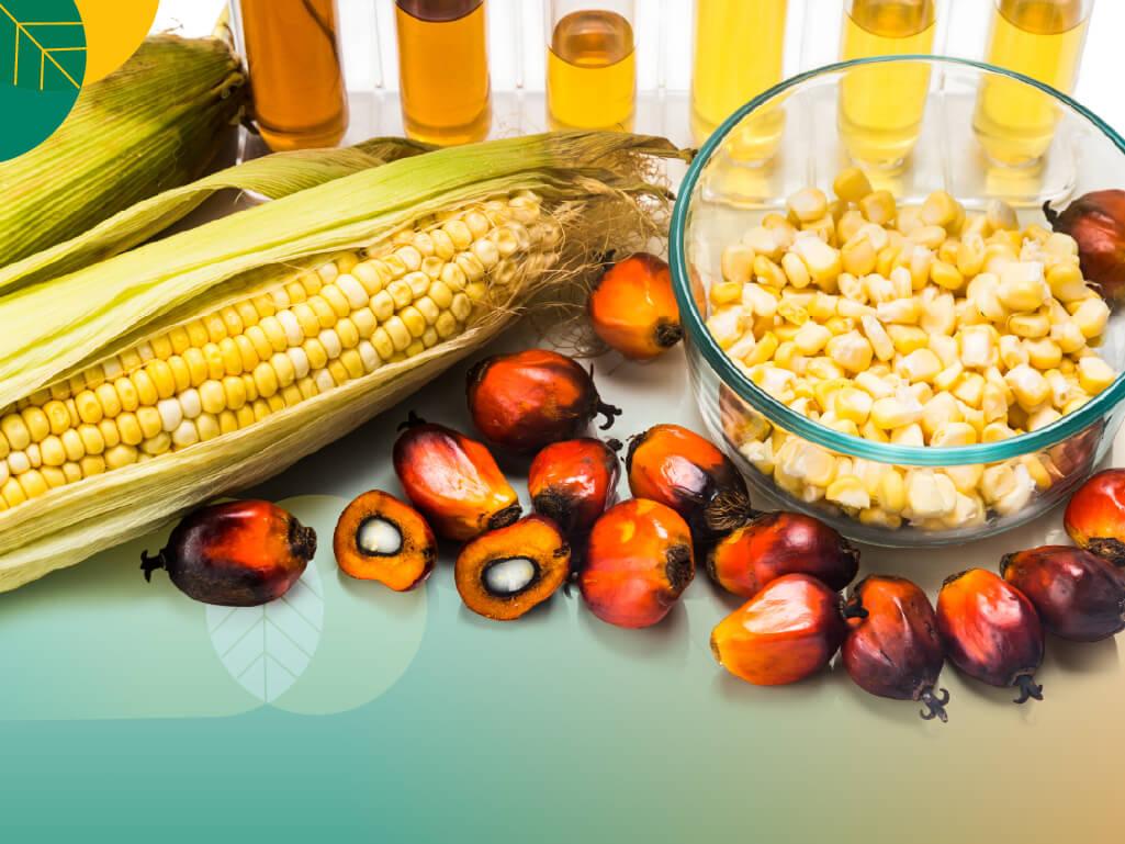 Bioteknologi Olahan Kelapa Sawit