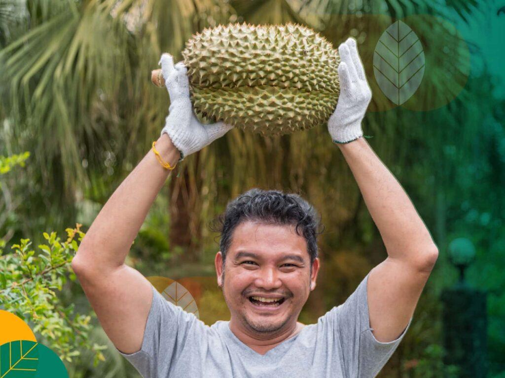 ZPT pembesar buah