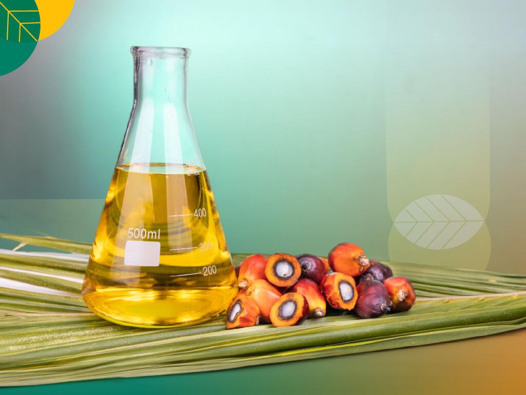 minyak sawit