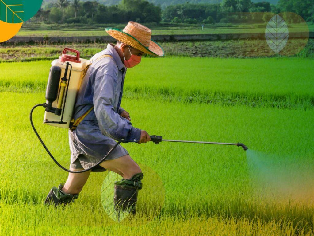 Penggunaan agrokimia