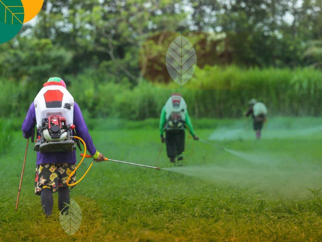 penanganan pestisida