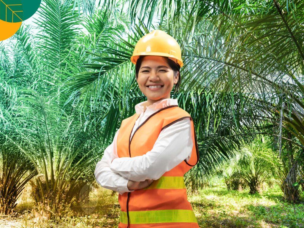 peremajaan kelapa sawit