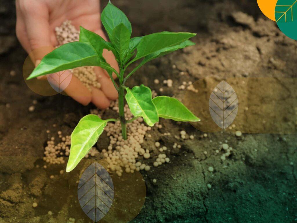 pupuk untuk pertumbuhan