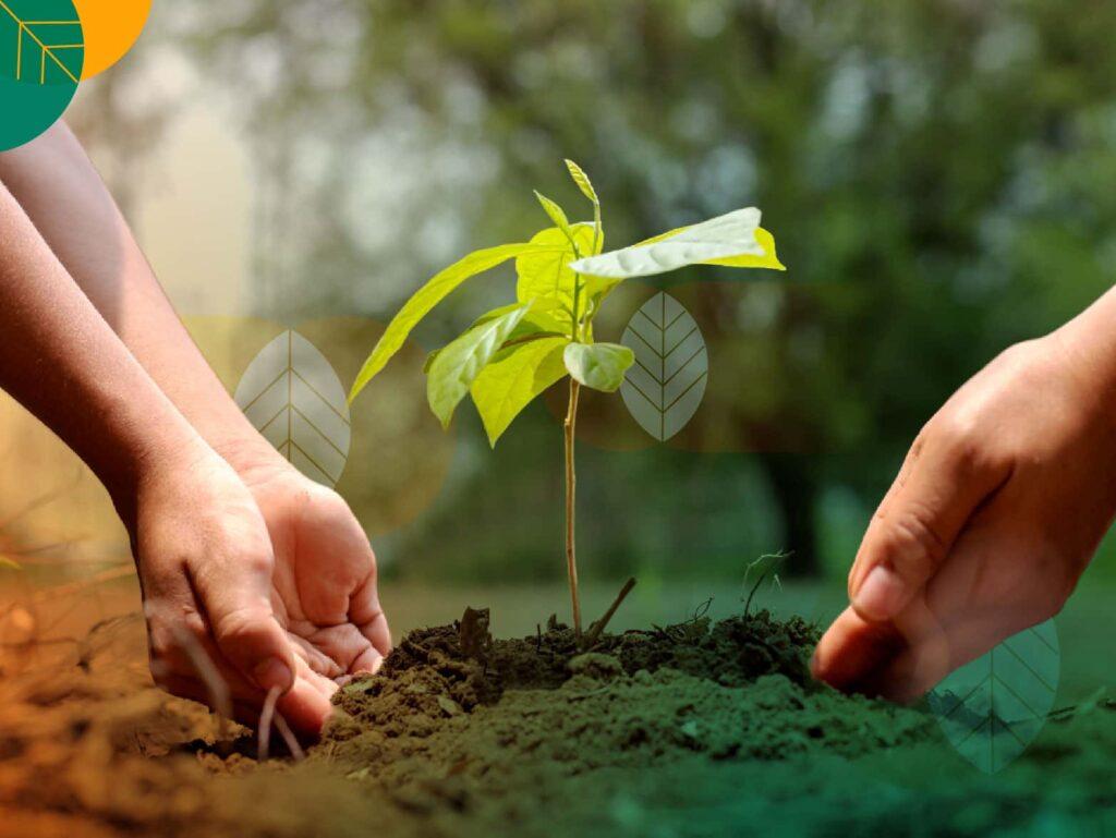 Tanaman pengusir hama