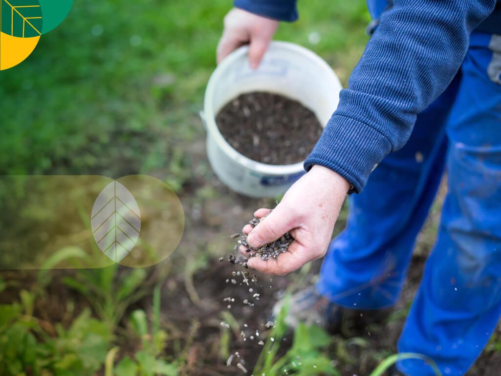Mengatasi kelangkaan pupuk