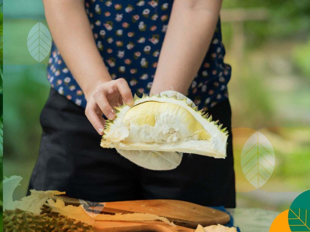 Olahan durian