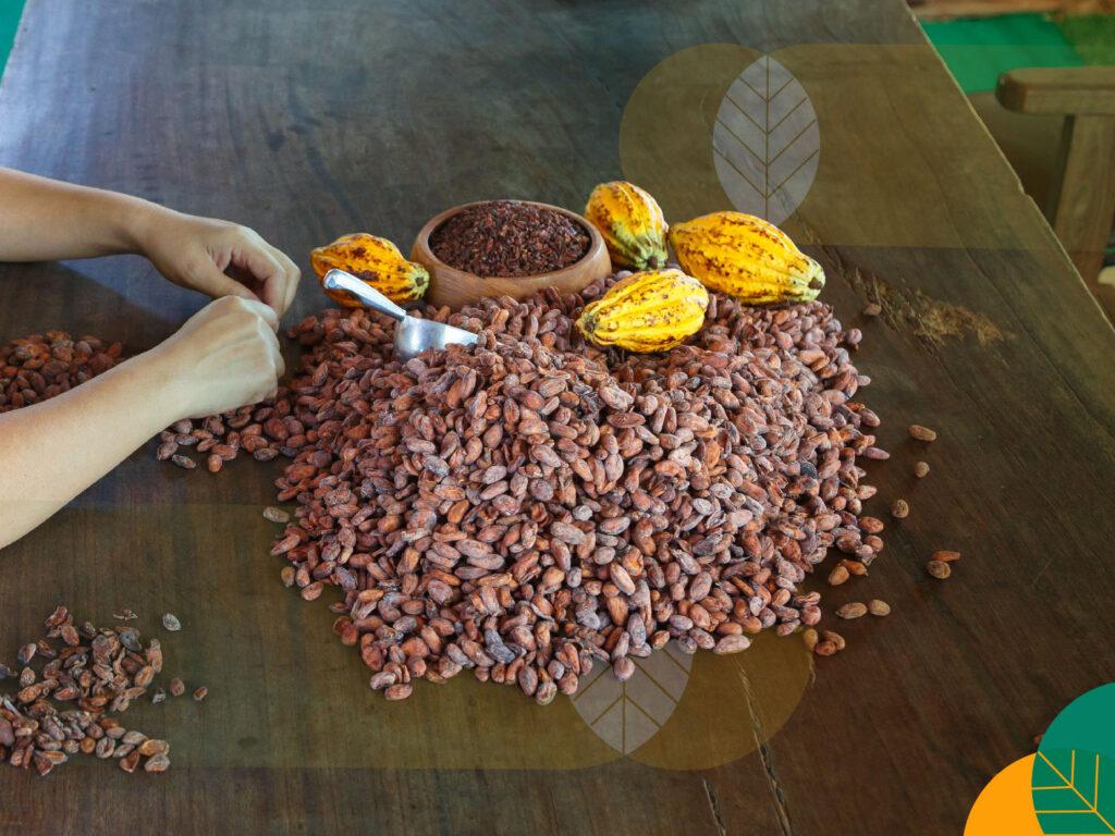 Industri kakao