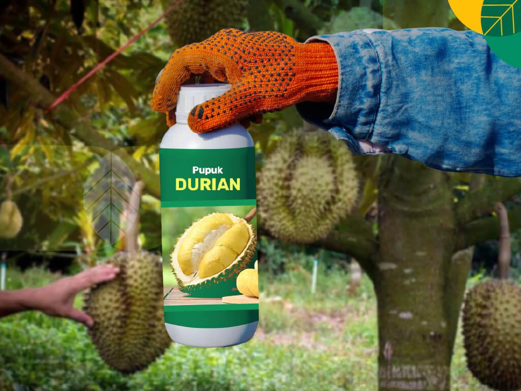 Jenis pupuk daun