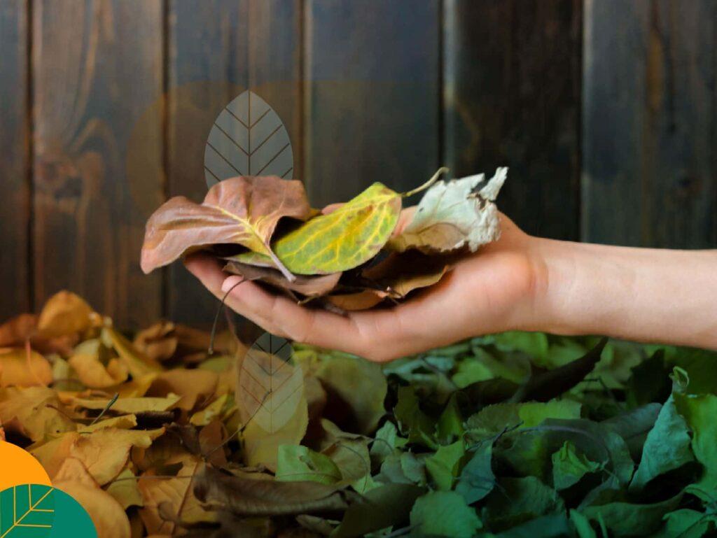 Pupuk kompos daun