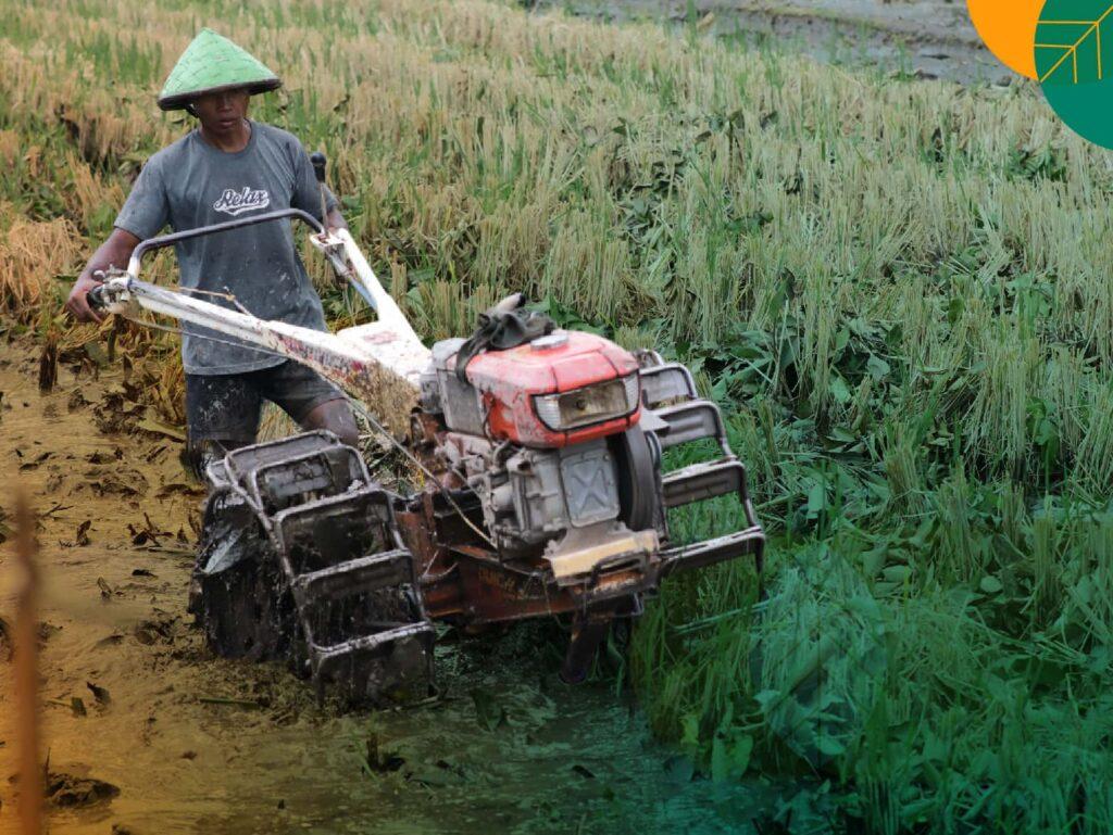 Traktor sawah