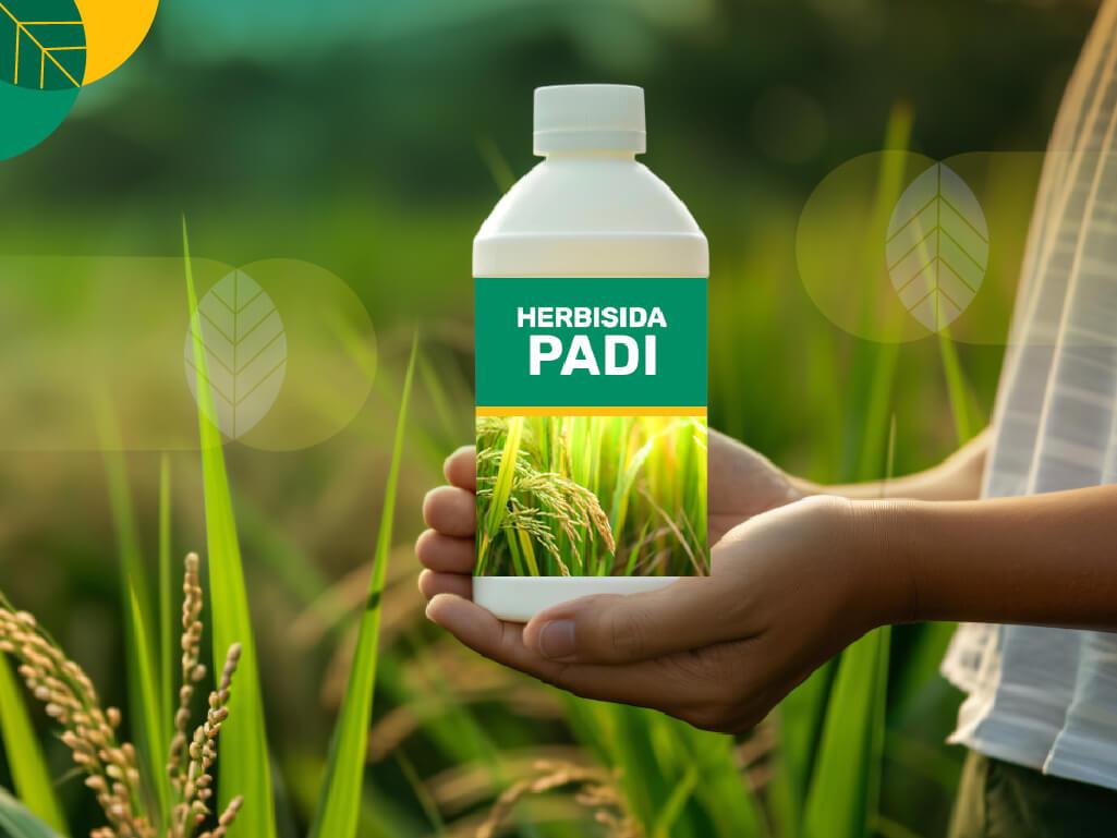 herbisida untuk padi