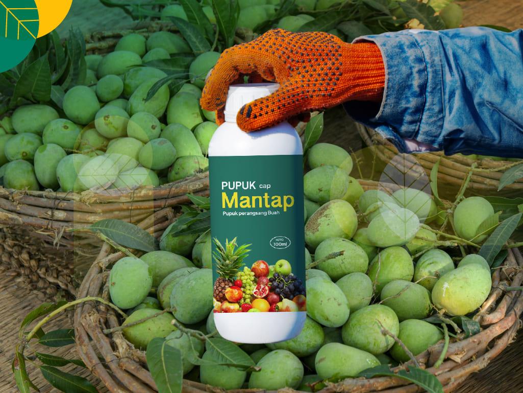 Pupuk perangsang buah