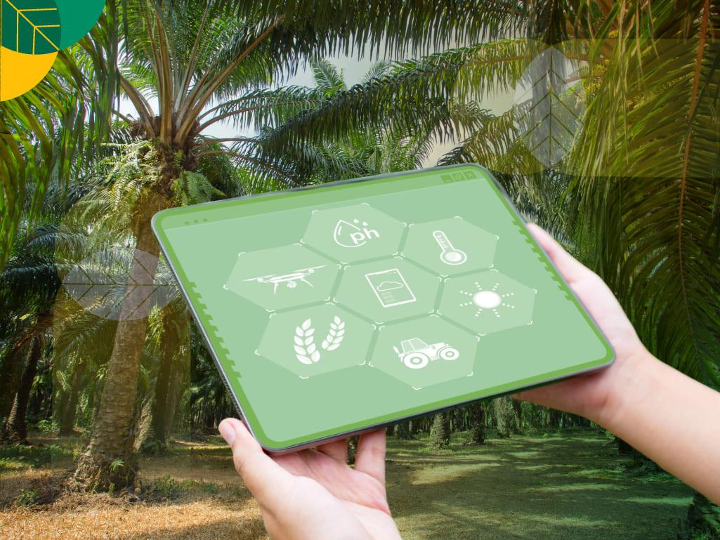 Blockchain Kelapa Sawit