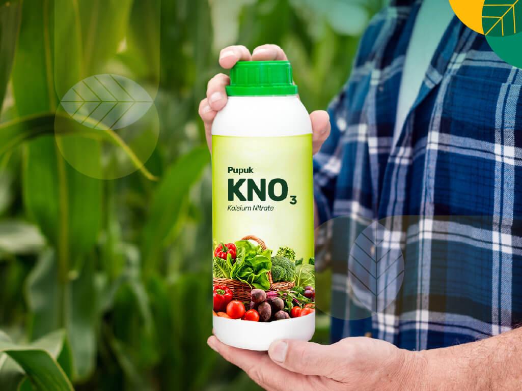 Pupuk KNO3 Cair