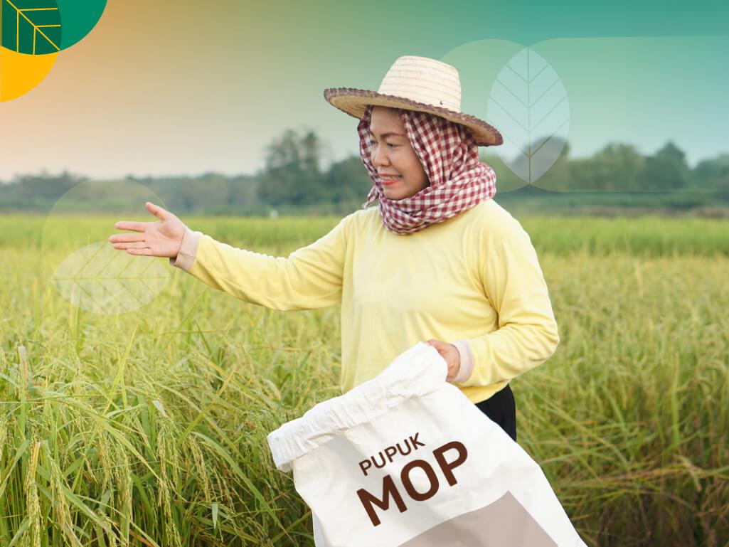 Pupuk MOP