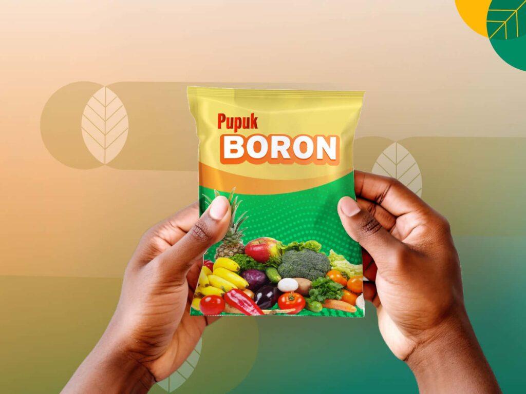 Penggunaan Pupuk Boron