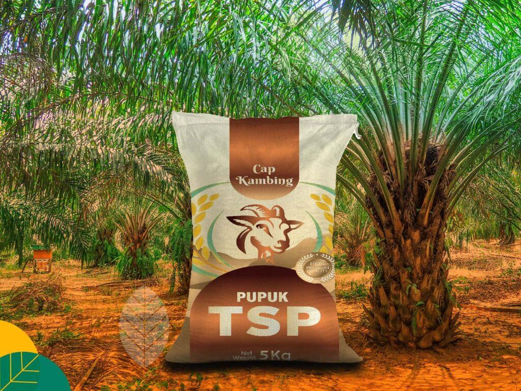 Pupuk TSP