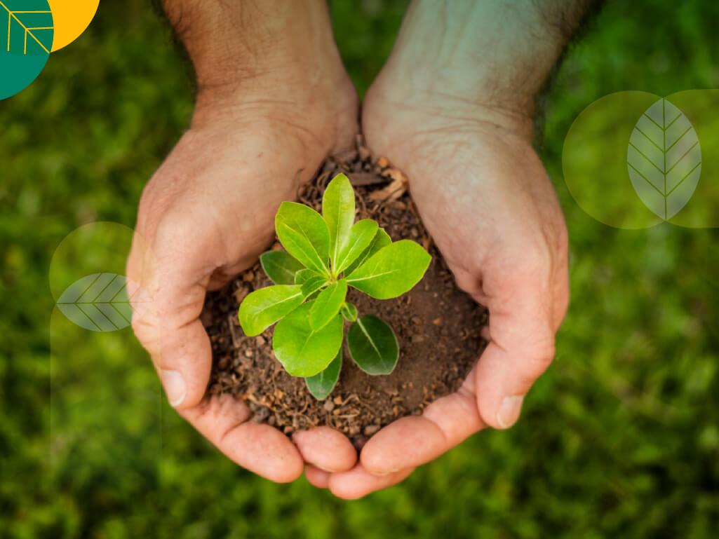 Hari lingkungan hidup