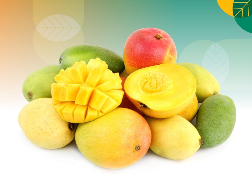 Jenis buah mangga