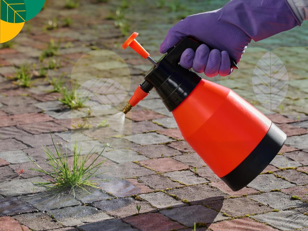 Racun Rumput Paling Ampuh