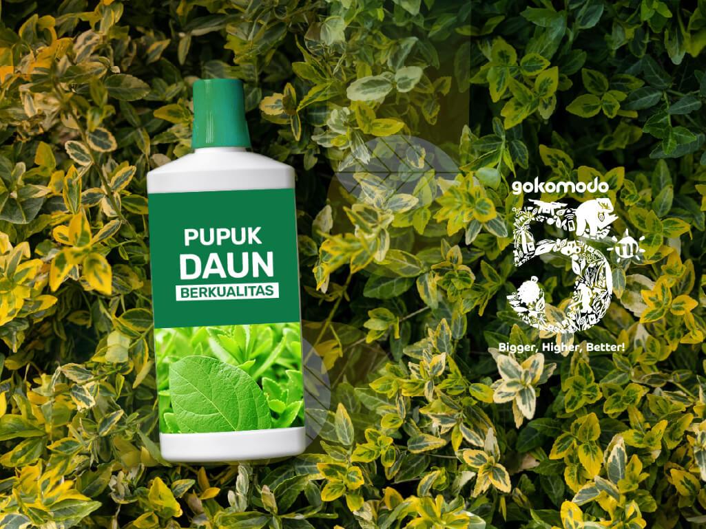 Pupuk Daun