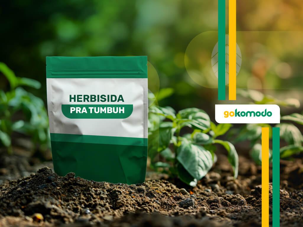 Herbisida Pra Tumbuh