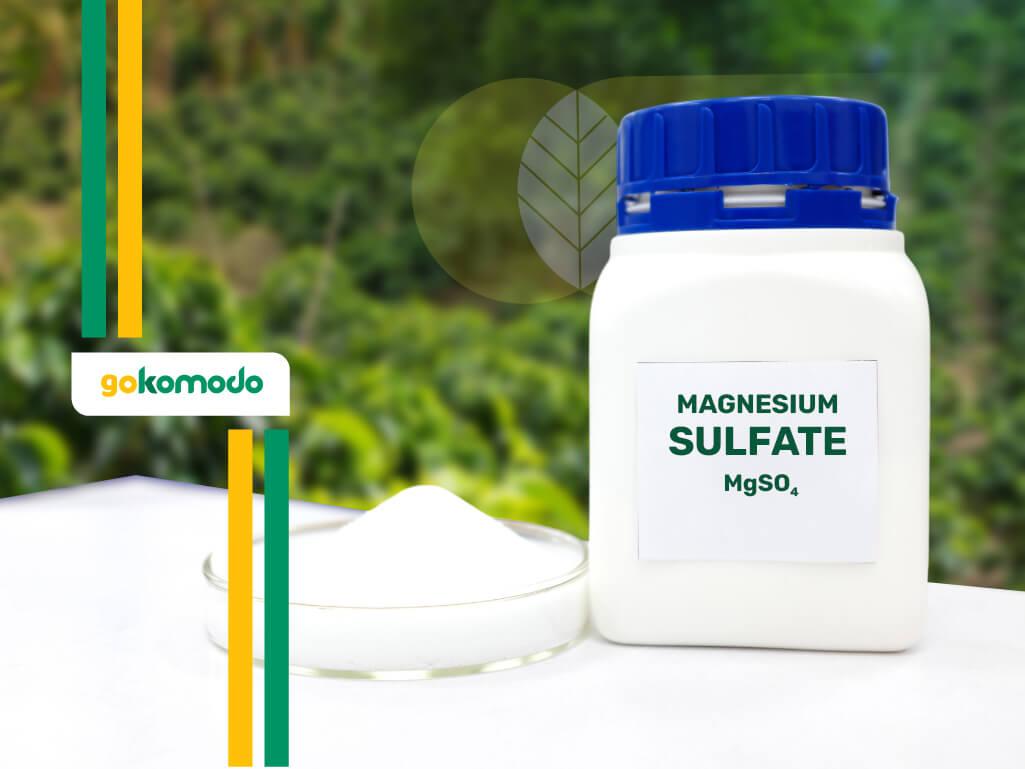 Magnesium Sulfat