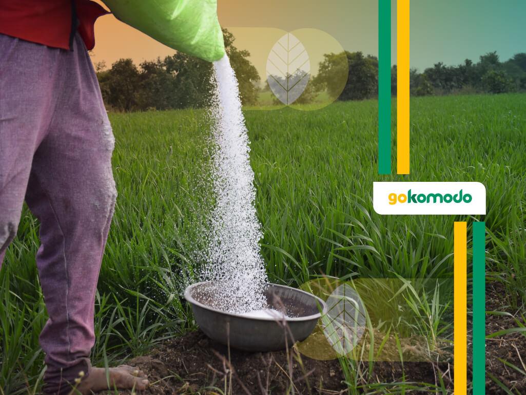 Pemupukan Padi