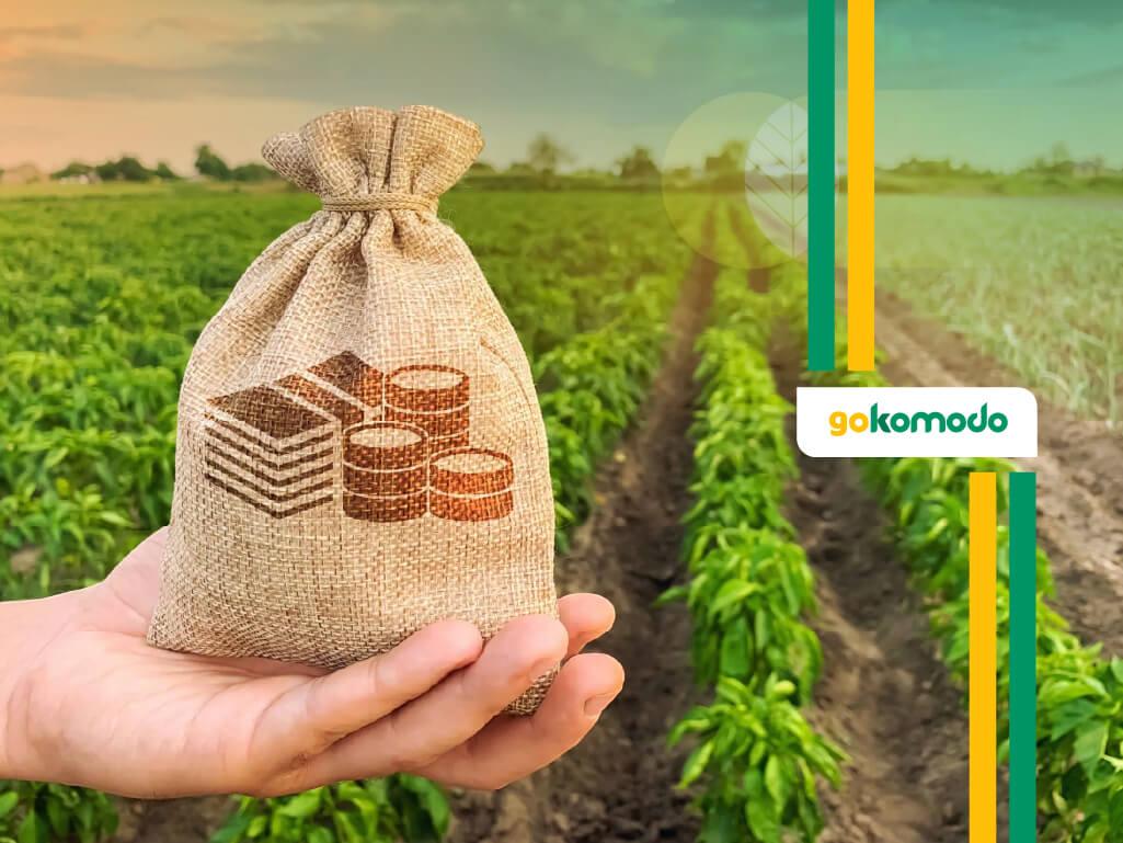 ekonomi agrikultur