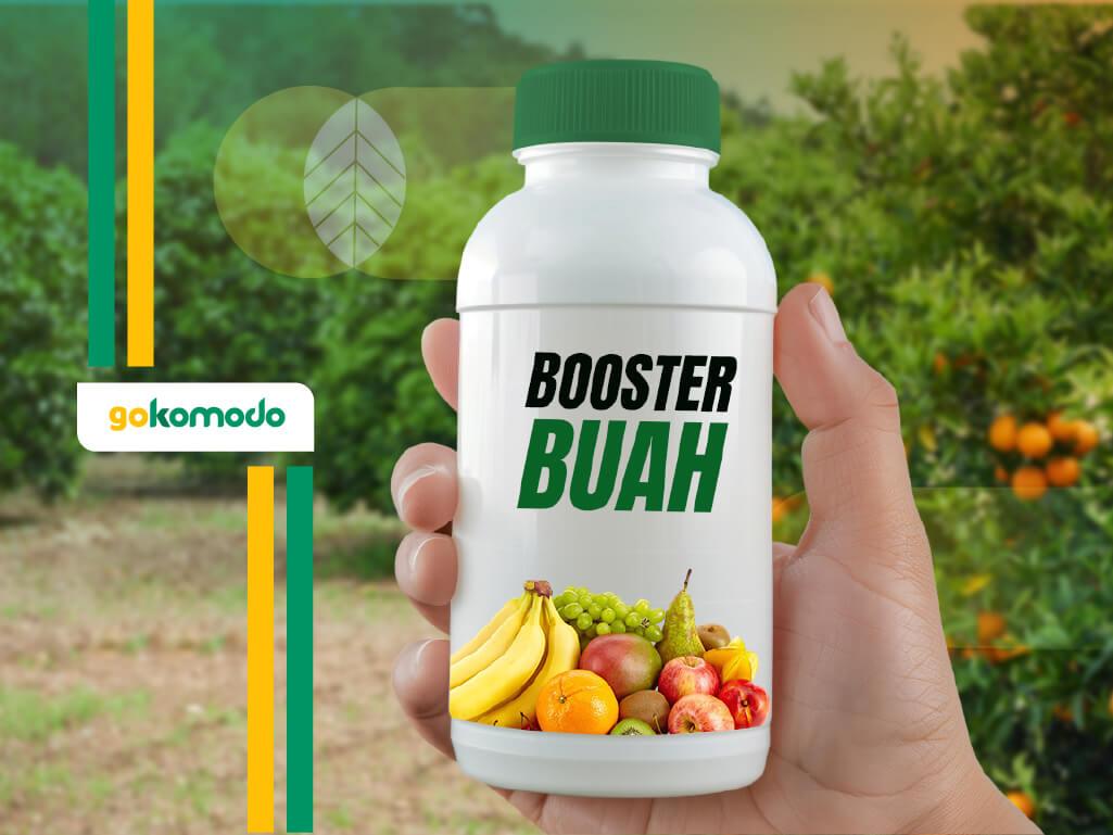 Booster Buah