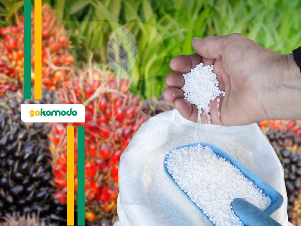 Pupuk Urea Untuk Sawit