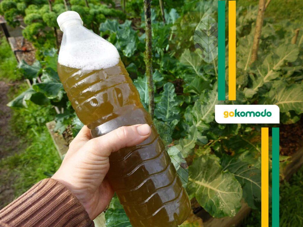 Pupuk Penyubur Daun dan Batang