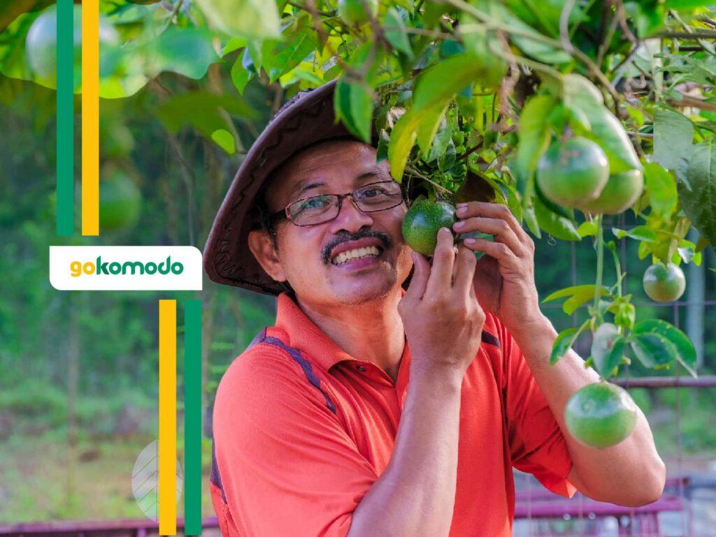 Kandungan Buah Jeruk