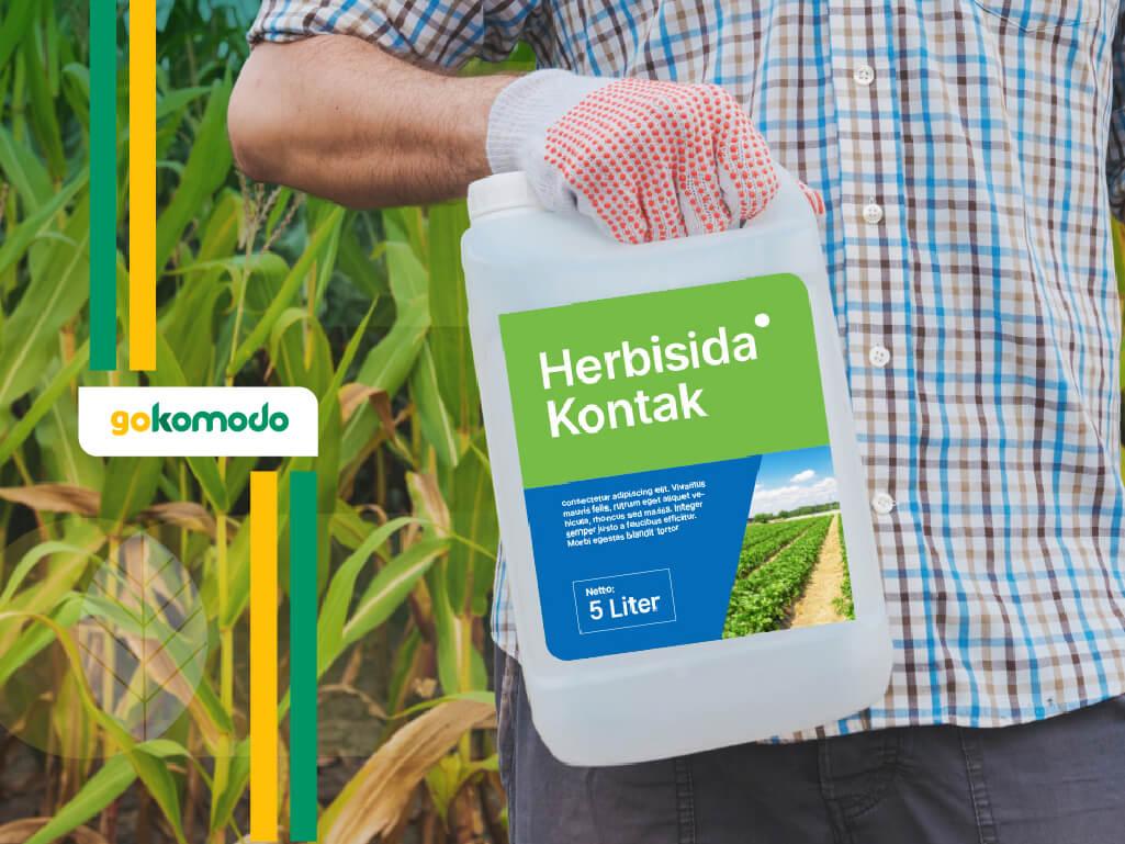 Herbisida Kontak