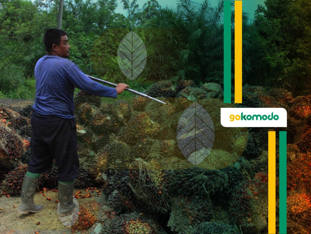 Manfaat Kelapa Sawit