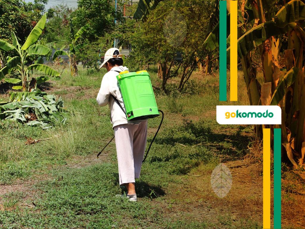 Insektisida sistemik dan kontak